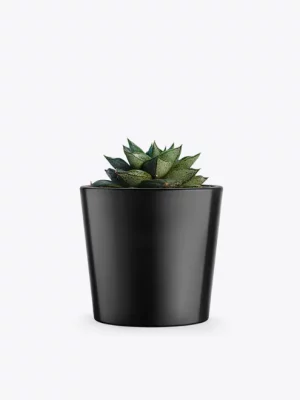 product-image-3_optimized Augue Neque