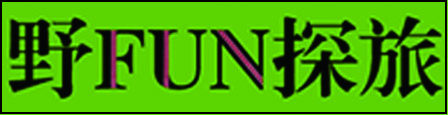 野FUN探旅